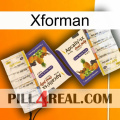 Xforman 12